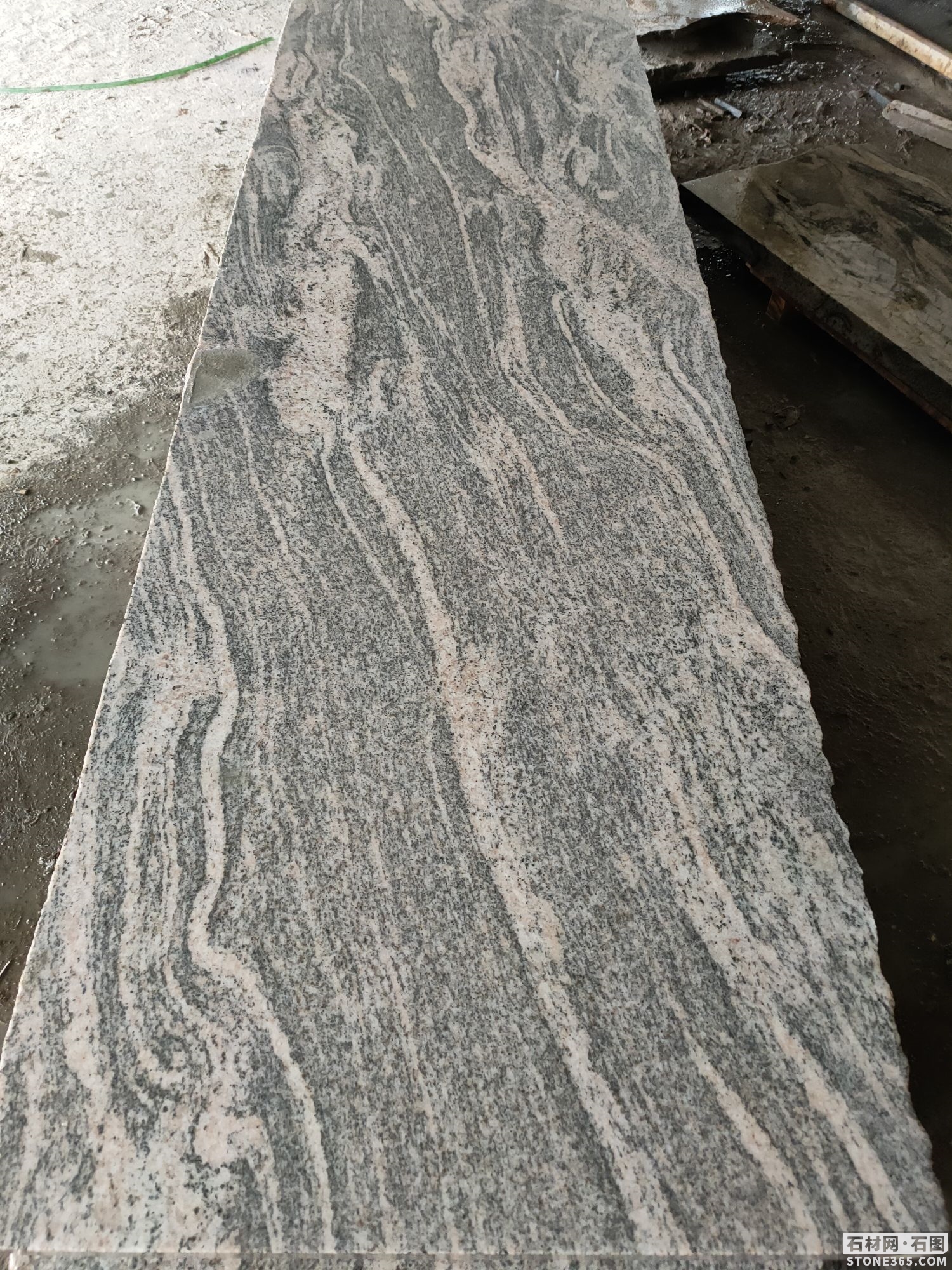 廣西賀州芝麻黑- - 365石材網