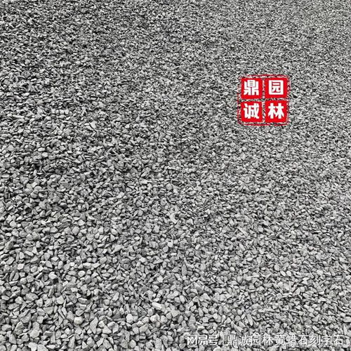 庭院鋪地材料選購攻略 石材是否是最佳選擇？